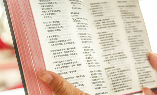 學(xué)校財(cái)務(wù)制度15篇